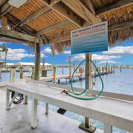 Villa St Kitts - Downtown Waterfront Penthouse Pool Dock Parking Cayo Hueso Exterior foto